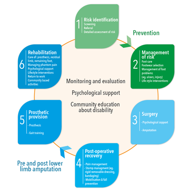 Phases of amputee management diagram