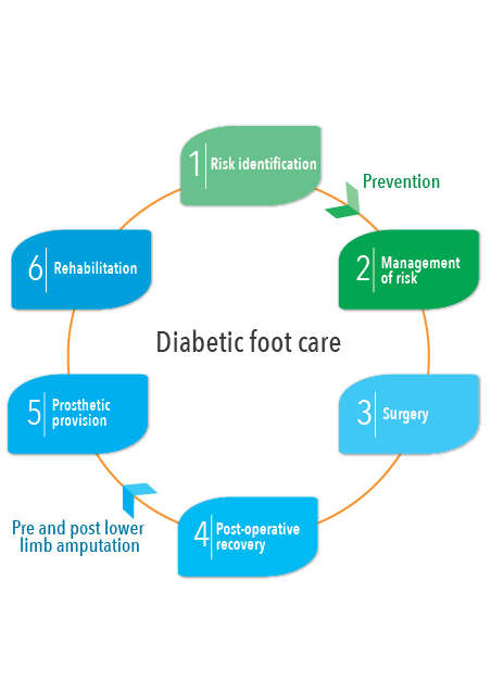 Diagram showing the 6 phases of diabetic foot care.